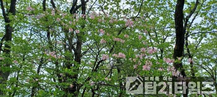 cd308db2c839319e5e7ee0052b79bb32_1748308442_0402.jpg