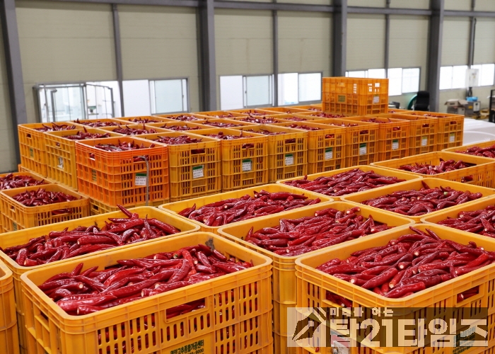 3e56ea3261cf4f5a8123587abb61af52_1755042110_3763.jpg 3e56ea3261cf4f5a8123587abb61af52_1755042110_3763.jpg